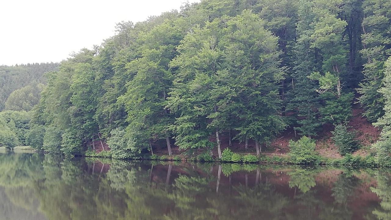 Eifel-Ferienhaus Marga Prüm Exterior foto
